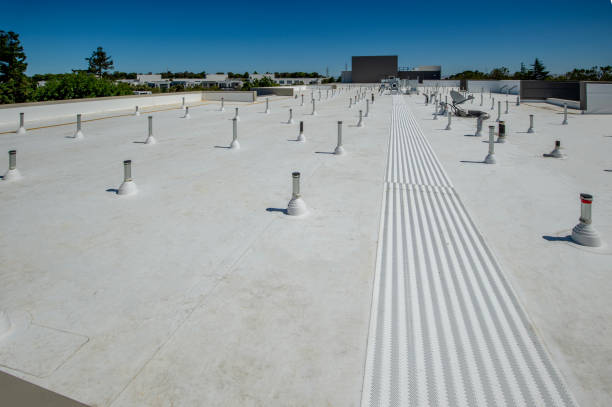 Best Roof Moss and Algae Removal  in Oregon, OH